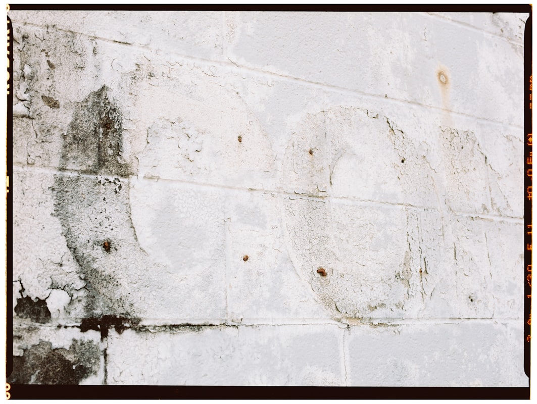 Basement Water Removal service in Terre Haute, IN