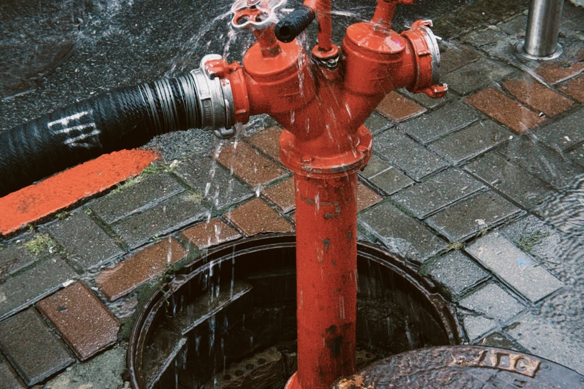 Water Extraction service in Terre Haute, IN